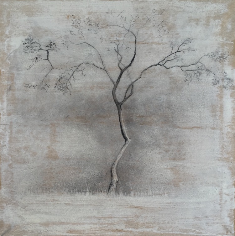 A black and white tree done in charcoal on prepared paper